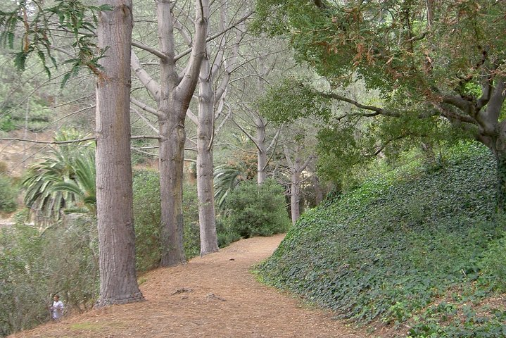 Hidden Nature Walks in the City Private Tour - Photo 1 of 13